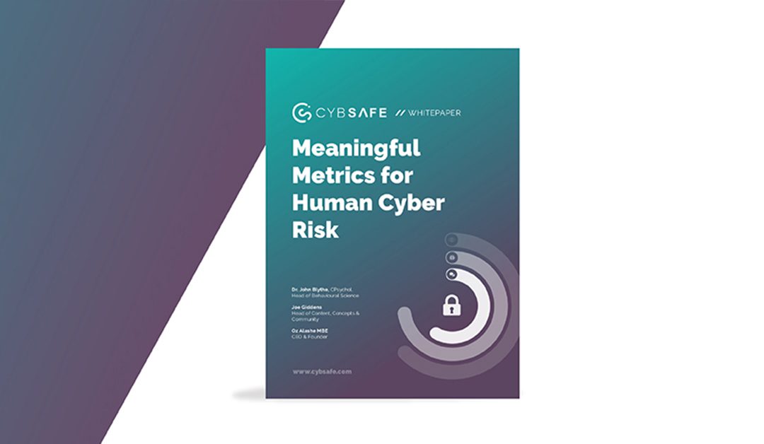 Meaningful Metrics for Human Cyber Risk