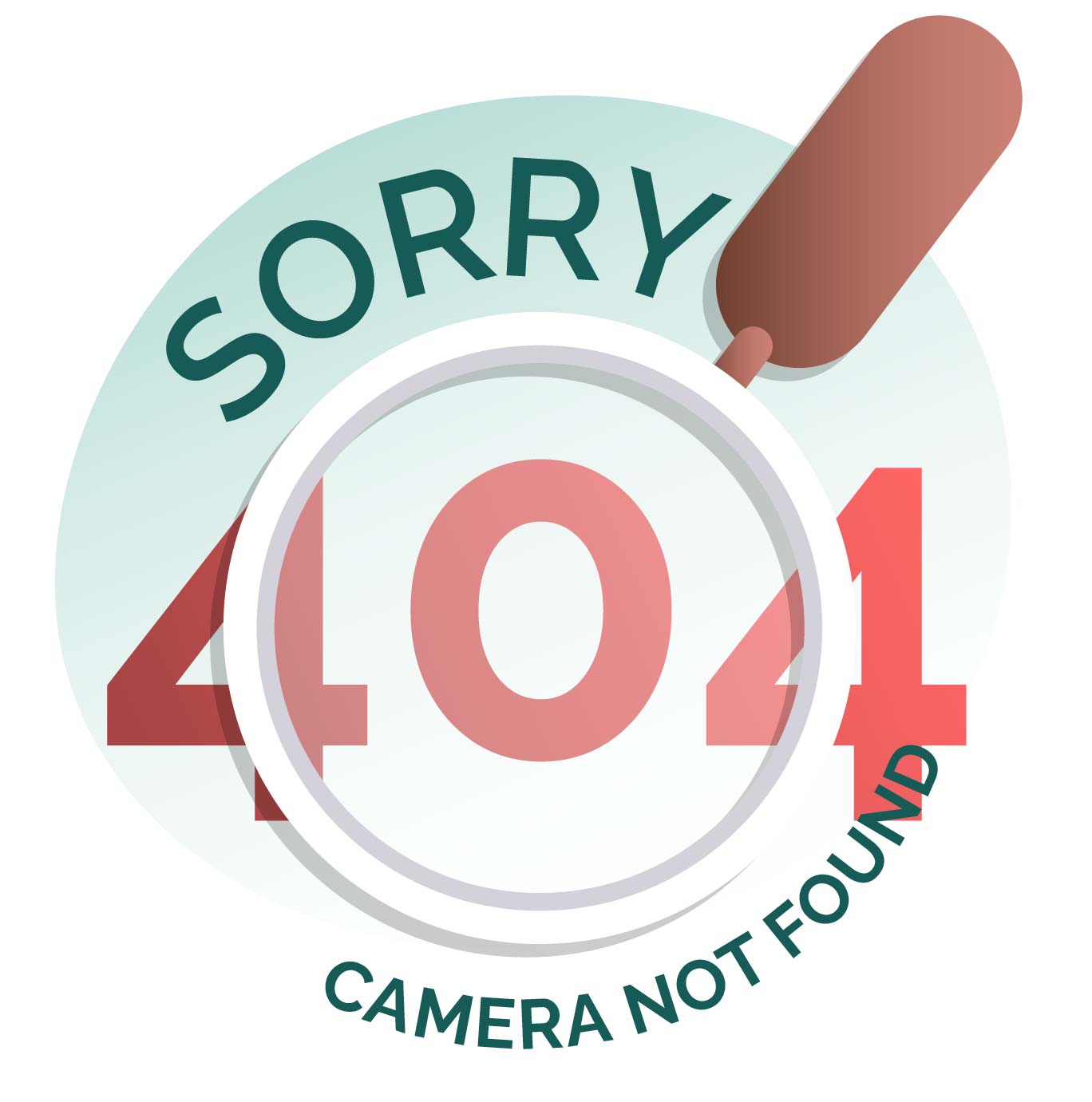 camera not found